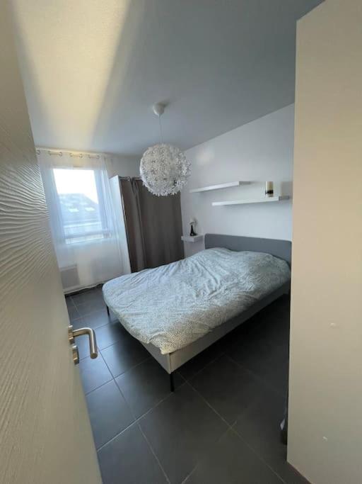 Apartment Between City Center And Beachs モンペリエ エクステリア 写真